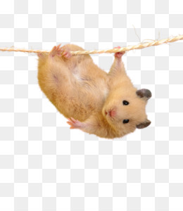 грузуны
